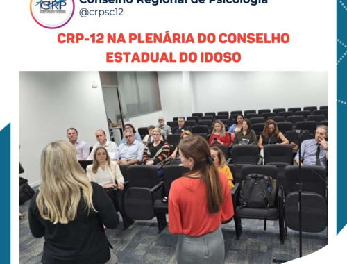 CRP-12 participa da Plenária do Conselho Estadual do Idoso (CEI)